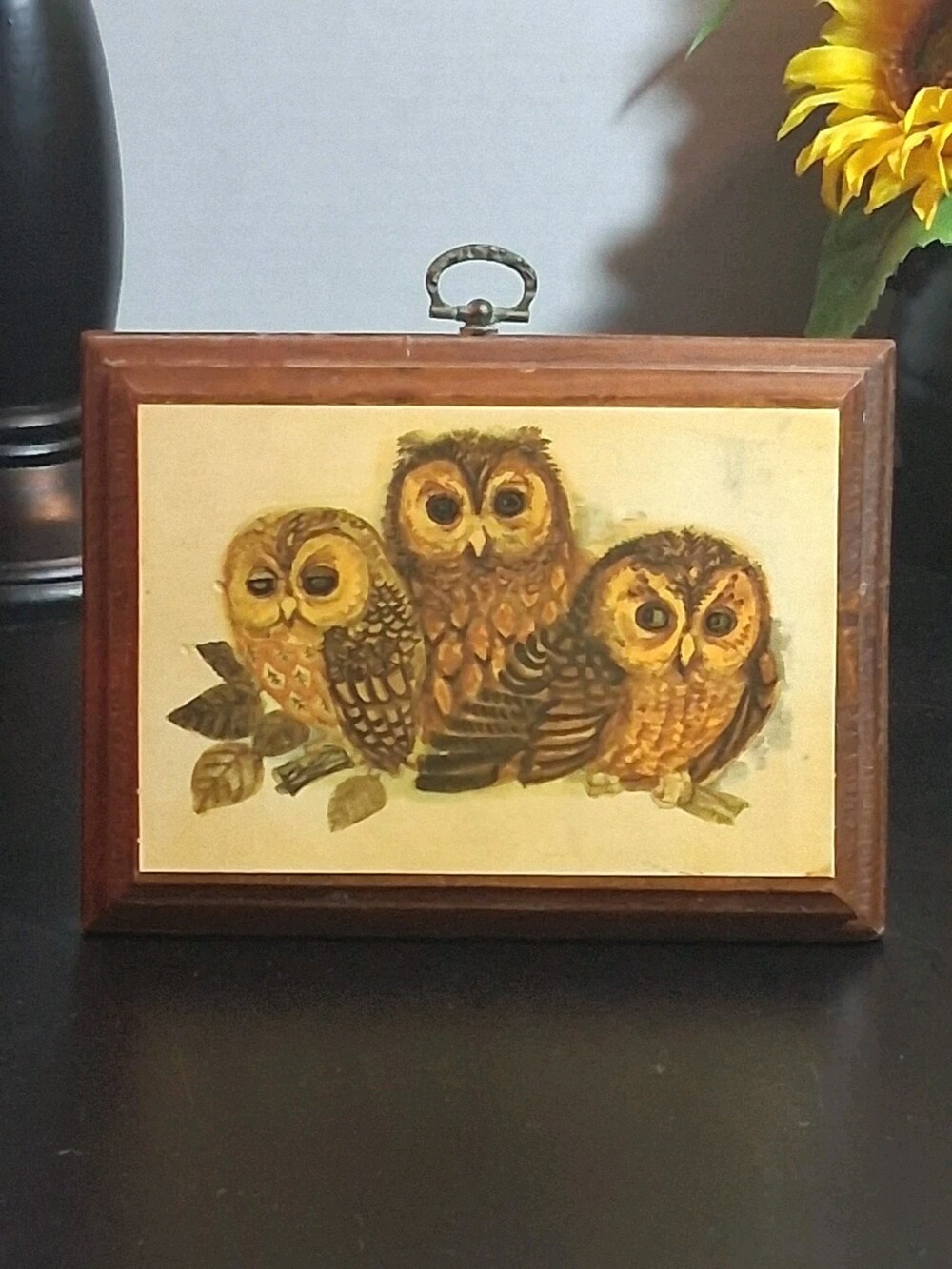 VTG'70s 3 Owls Wooden Lacquer Wall Plaque Retro/Kitsch/ 3 Tier Tray/ Table Decor